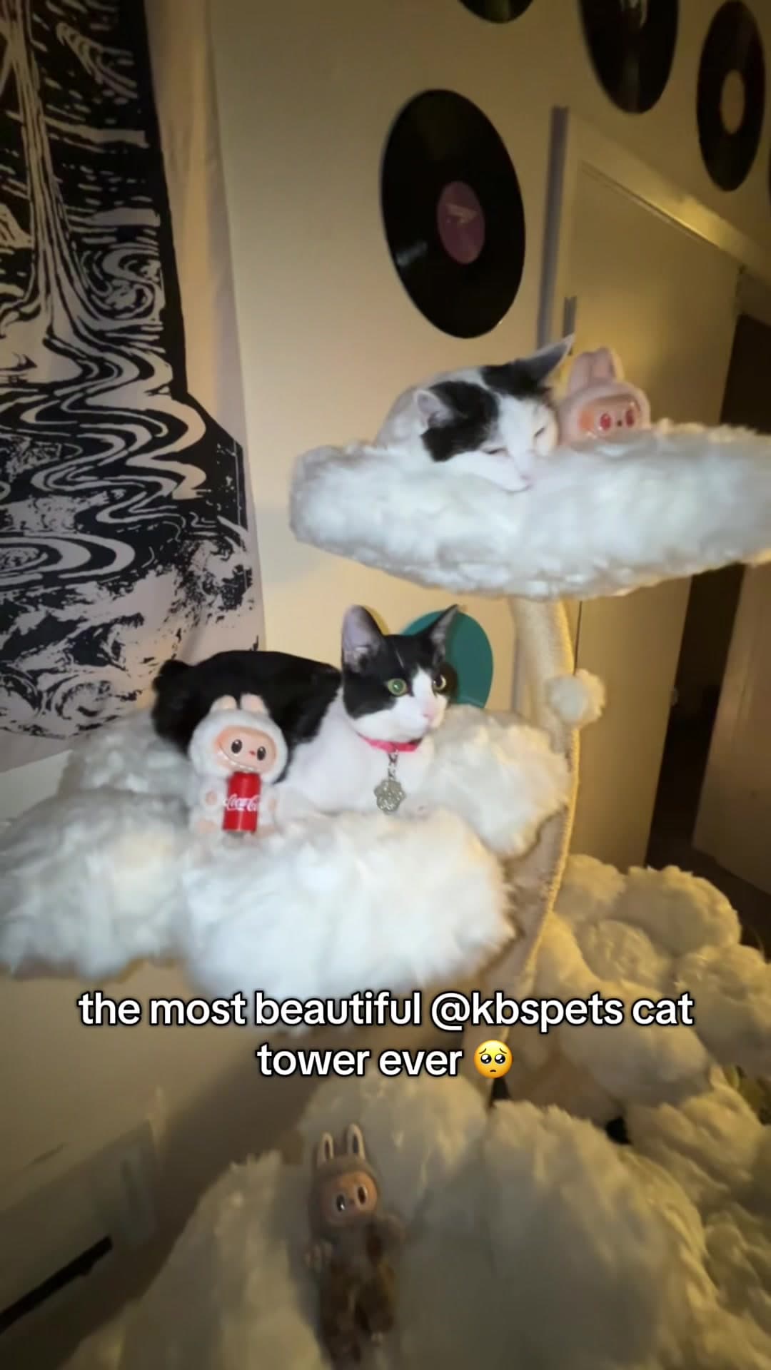 Slider image 17